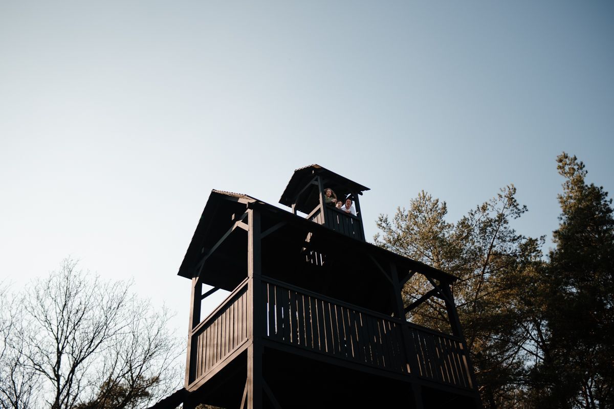 Wandeling op de Doldersumerheide: inspiratie voor een fotoshoot in Drenthe