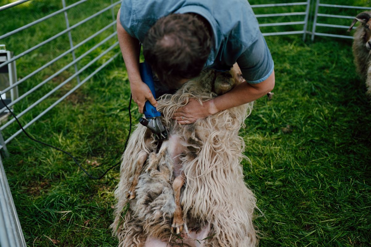 Wie zijn de ondernemers die ik fotografeer?