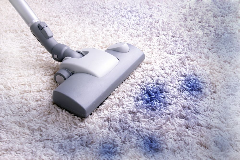 A Vacuum Cleaner Is Cleaning A White Carpet With Blue Stains — Citrus Clean Central Coast In Lake Haven, NSW