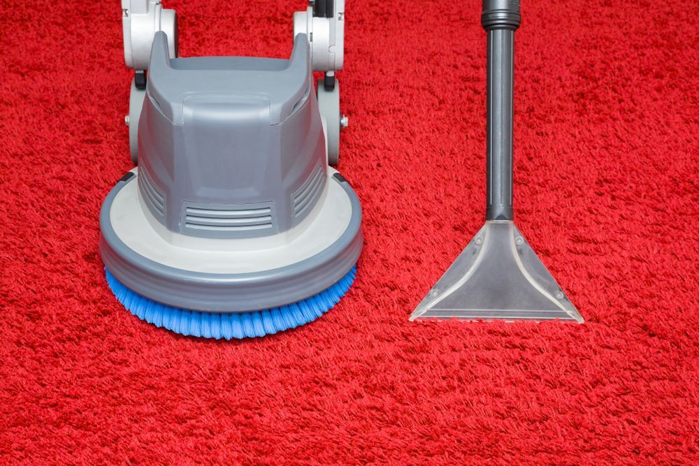 A Vacuum Cleaner Is Sitting On Top Of A Red Carpet — Citrus Clean Central Coast In Lake Haven, NSW
