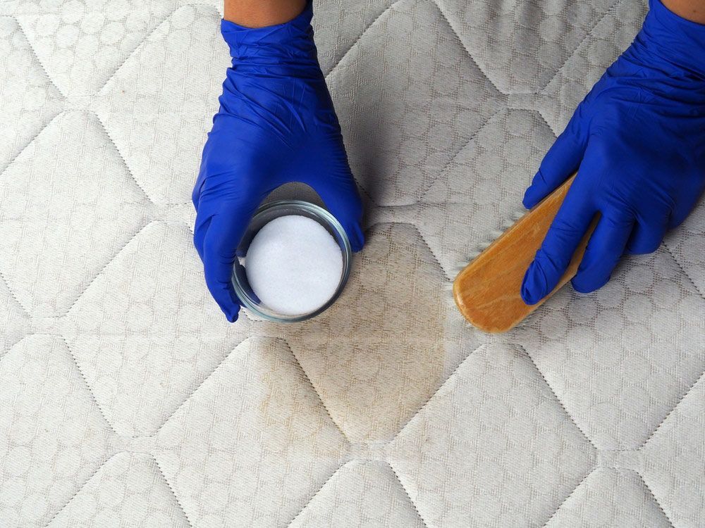 A Person Wearing Blue Gloves Is Cleaning A Mattress With A Brush — Citrus Clean Central Coast In Lake Haven, NSW