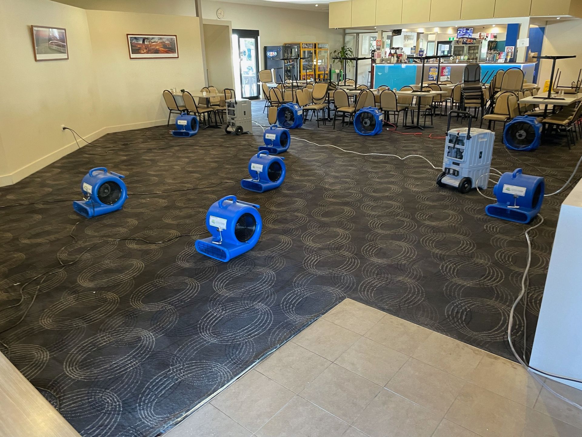 A commercial carpeted room undergoing water damage restoration with multiple blue air movers and dehumidifiers on floor.