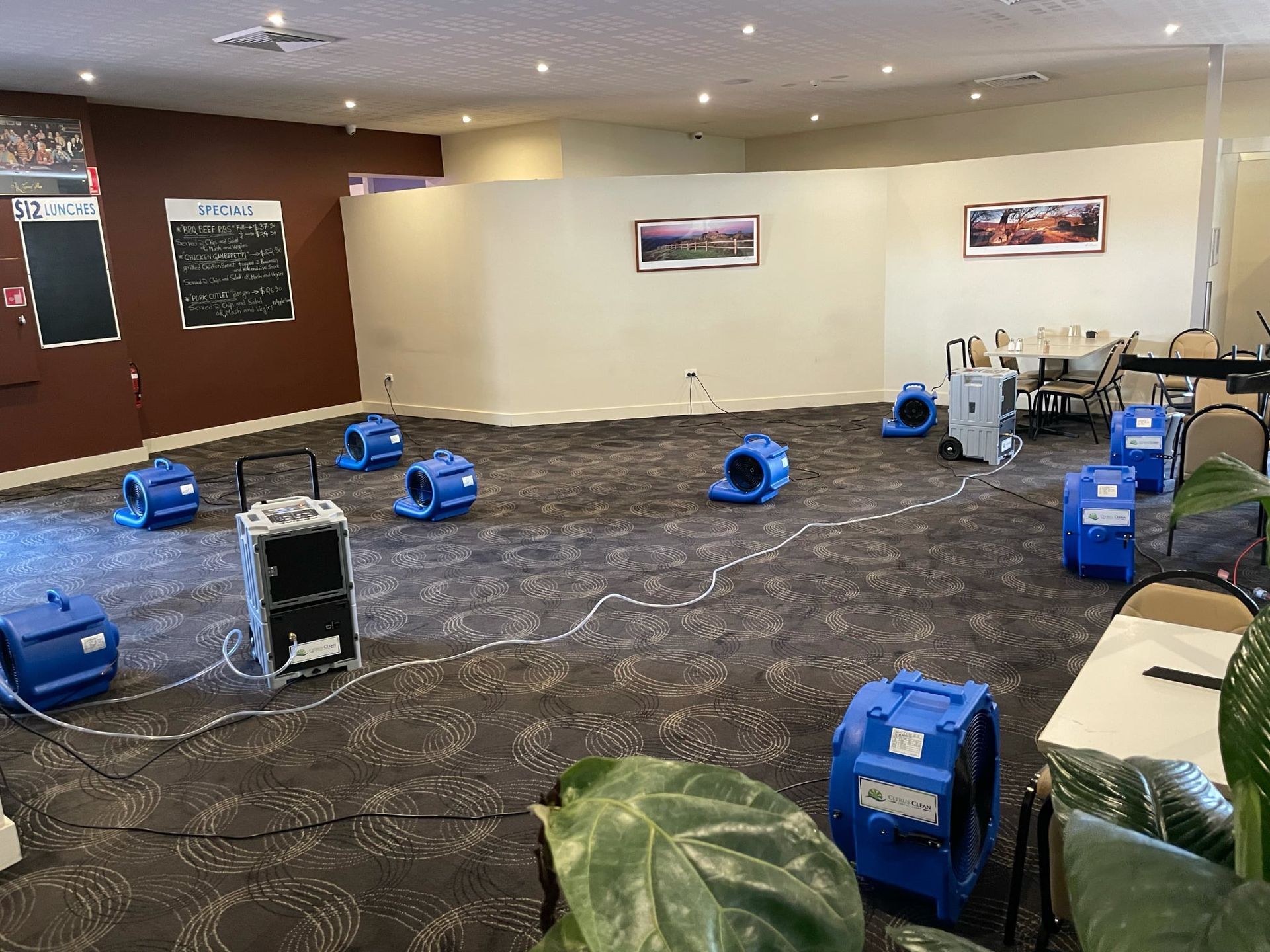 A Person Is Cleaning A Tile Wall With A Spatula — Citrus Clean Central Coast In Lake Haven, NSW