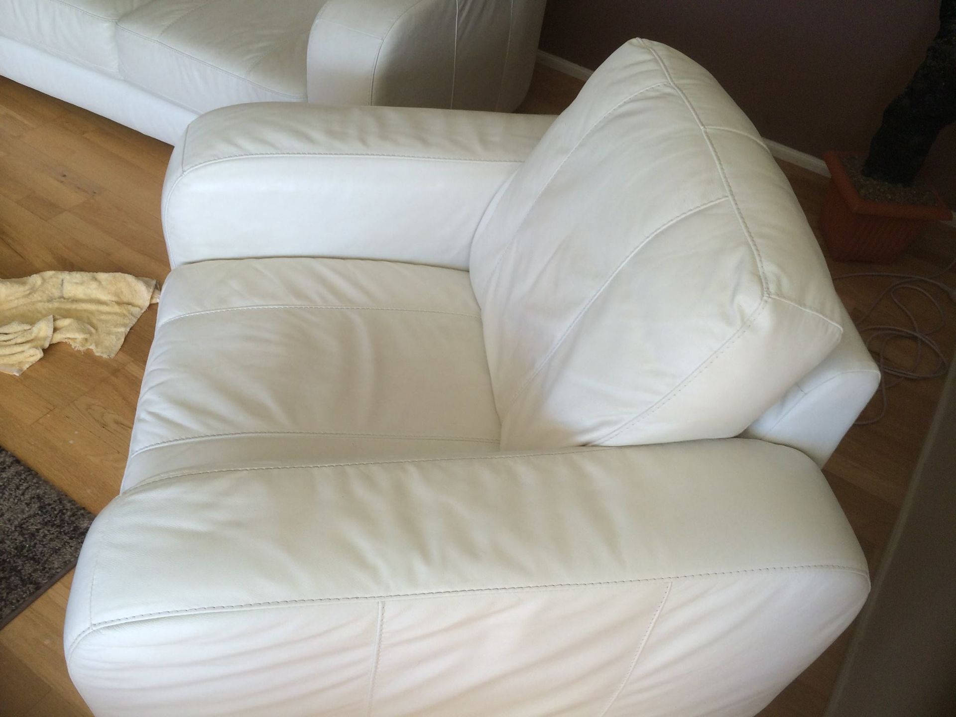 A Close Up Of A Person Cleaning A Couch — Citrus Clean Central Coast In Lake Haven, NSW