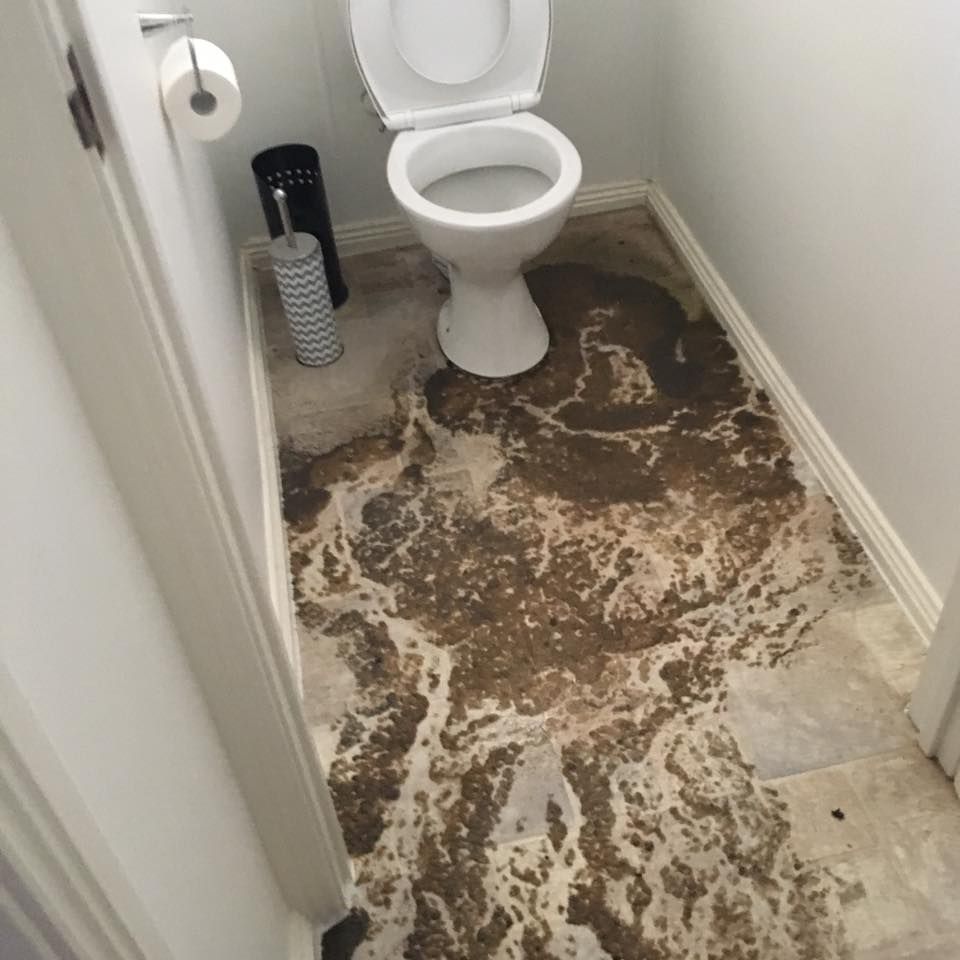 A bathroom floor covered in a large, dark, spreading liquid leak originating from the base of a white toilet.