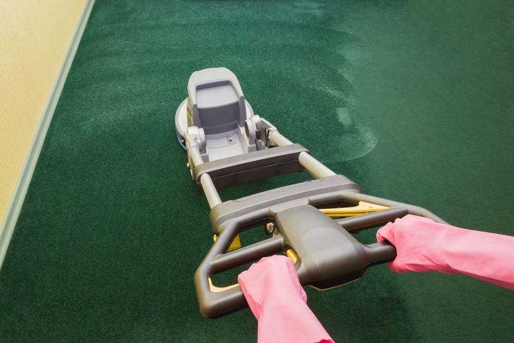 Person in Pink Gloves Cleaning a Green Carpet With a Professional Cleaning Machine — Citrus Clean Central Coast In Lake Haven, NSW
