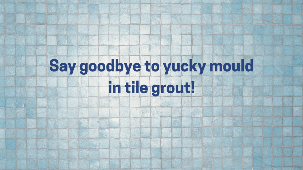 Say Goodbye To Yucky Mould In Tile Grout! Banner — Citrus Clean Central Coast In Lake Haven, NSW