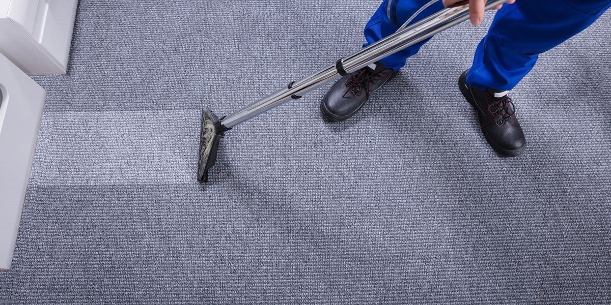 A Man Is Cleaning A Carpet With A Vacuum Cleaner — Citrus Clean Central Coast In Gosford, NSW
