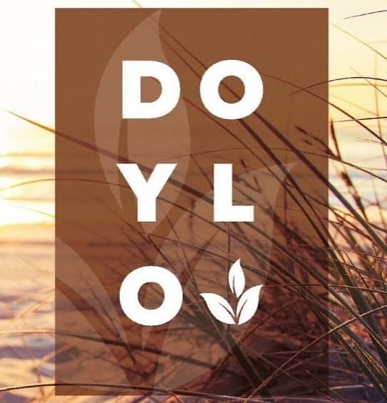 Doylo Logo