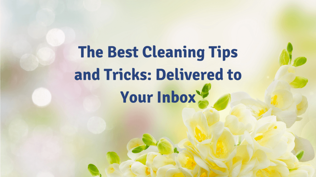 Best Cleaning Tips And Tricks Blog Image Banner — Citrus Clean Central Coast In Lake Haven, NSW