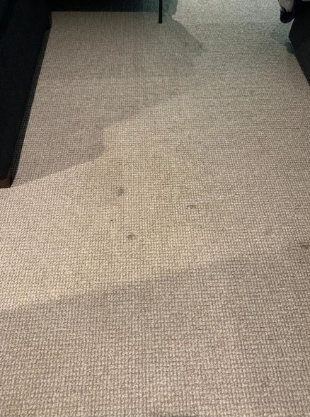 A light beige textured carpet with a visible, diagonal patch of darker, damp-looking discoloration across the center.