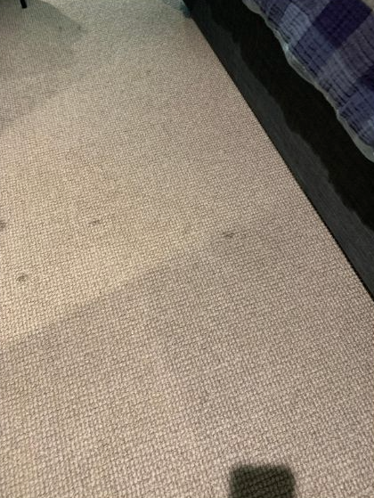 A close-up view of light-colored, textured carpeting with some darker stains and a portion of a dark bed frame visible.