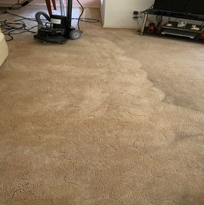 A carpet cleaning machine sits on a tan carpet with visible clean and dirty stripes in a room with a TV stand.