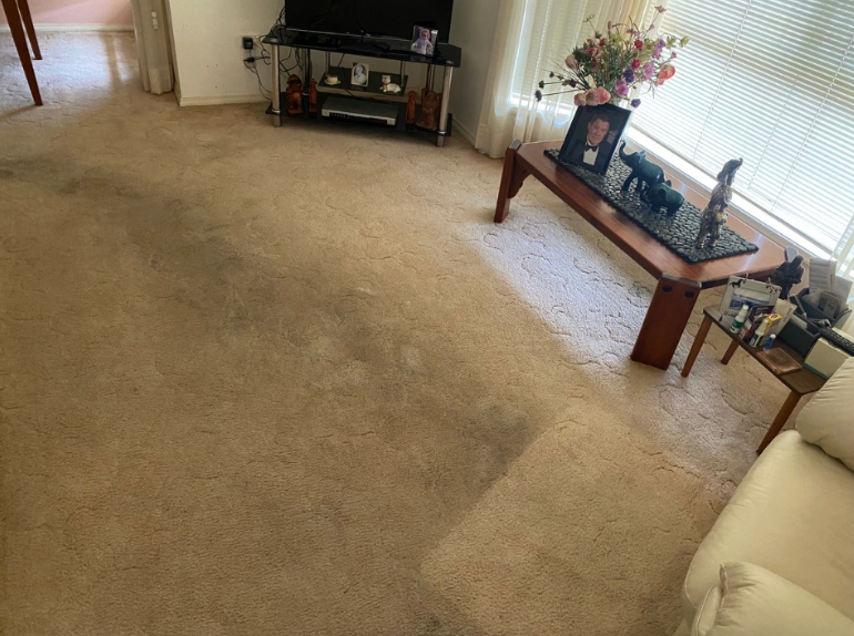 A living room area with light beige carpeting featuring a large, dark, shadowed stain leading toward a wooden coffee table.