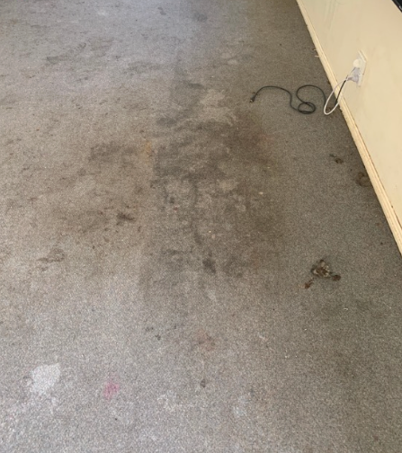 Gray wall-to-wall carpet with a large, dark, irregular stain in the center and smaller spots near a wall outlet.