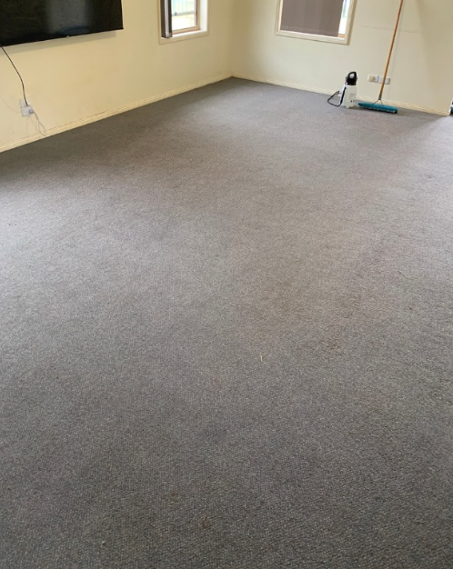 A view of an empty room with light gray carpet, beige walls, two windows, and a cleaning mop in the corner.