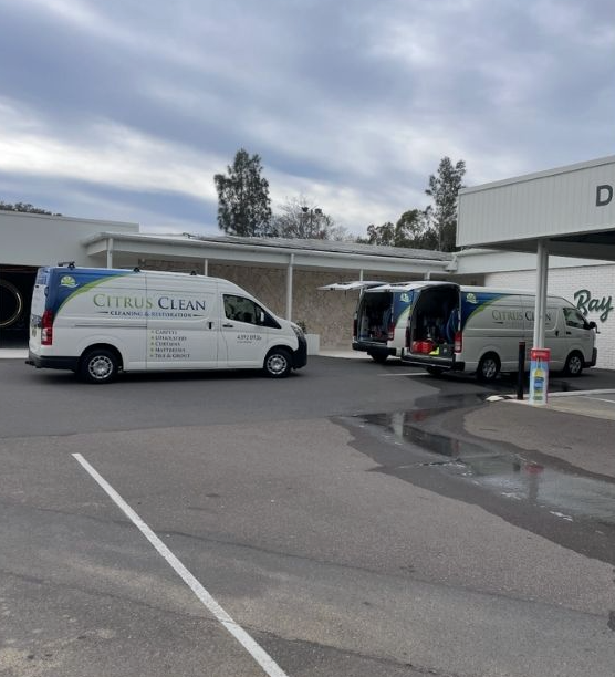 A Person Is Cleaning A Carpet With A Vacuum Cleaner — Citrus Clean Central Coast In Lake Haven, NSW