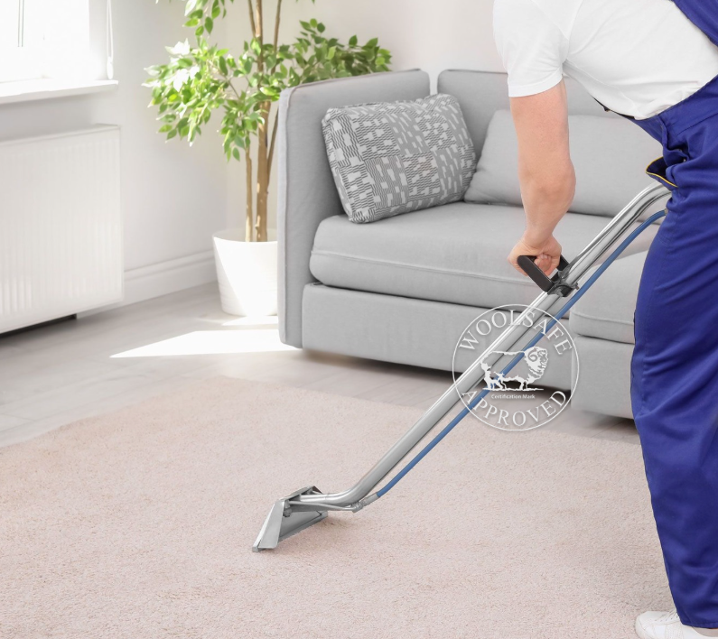 A Vacuum Cleaner Is Cleaning A Carpet — Citrus Clean Central Coast In Wyong, NSW