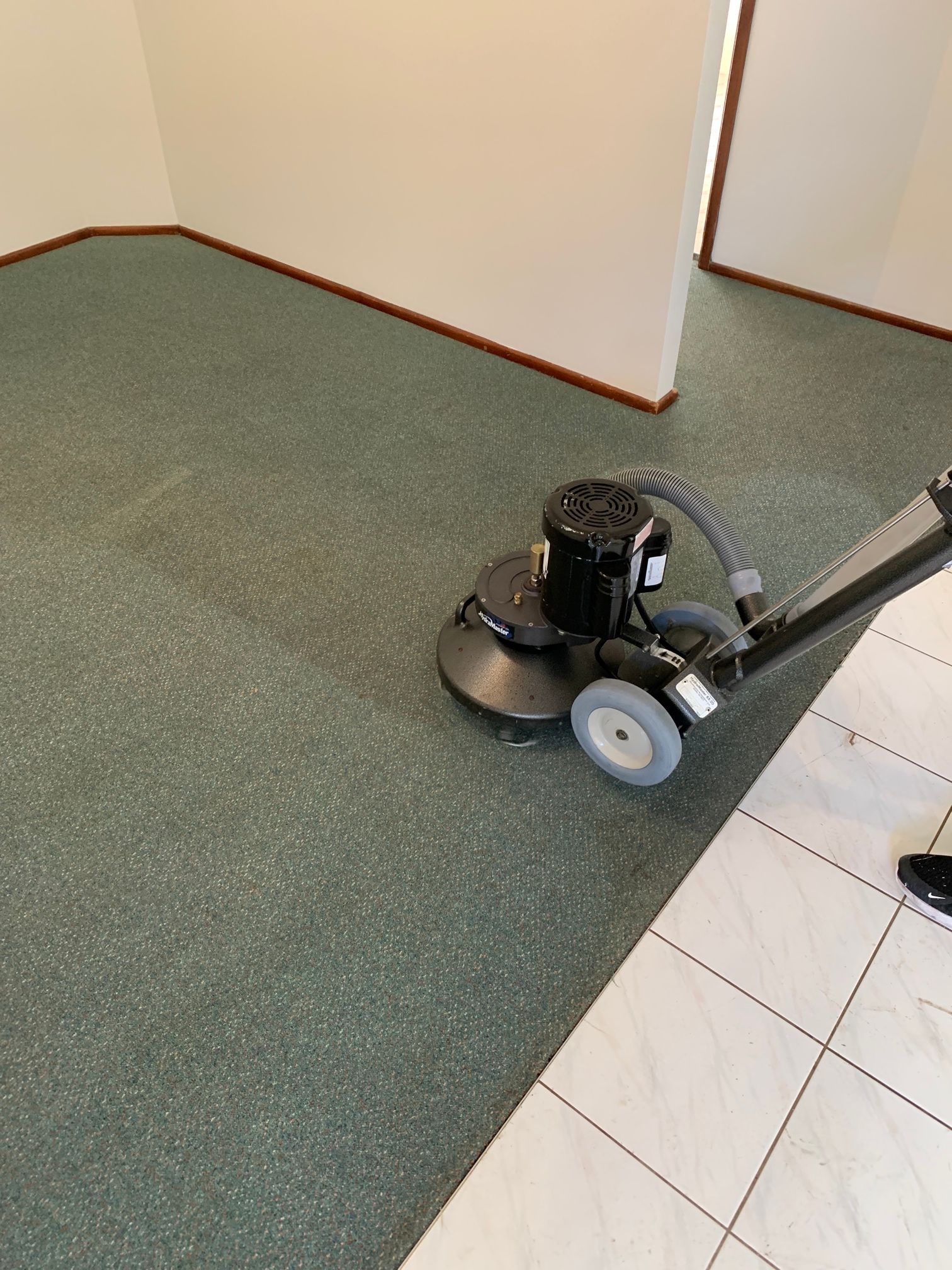 A Person Is Using A Vacuum Cleaner To Clean A Mattress — Citrus Clean Central Coast In Lake Haven, NSW