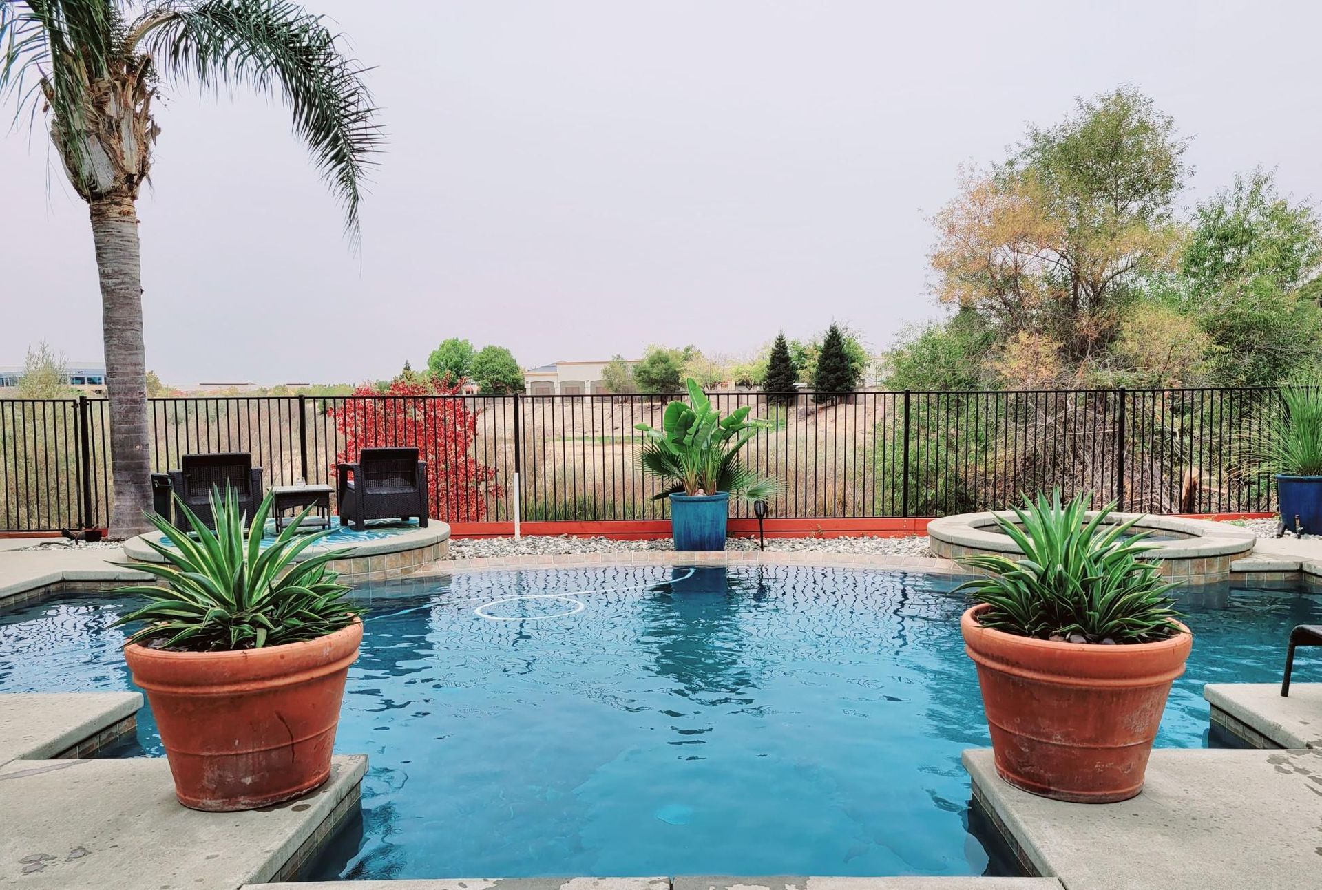 Pool with potted plants, surrounded by a fence and a field, overcast sky.
