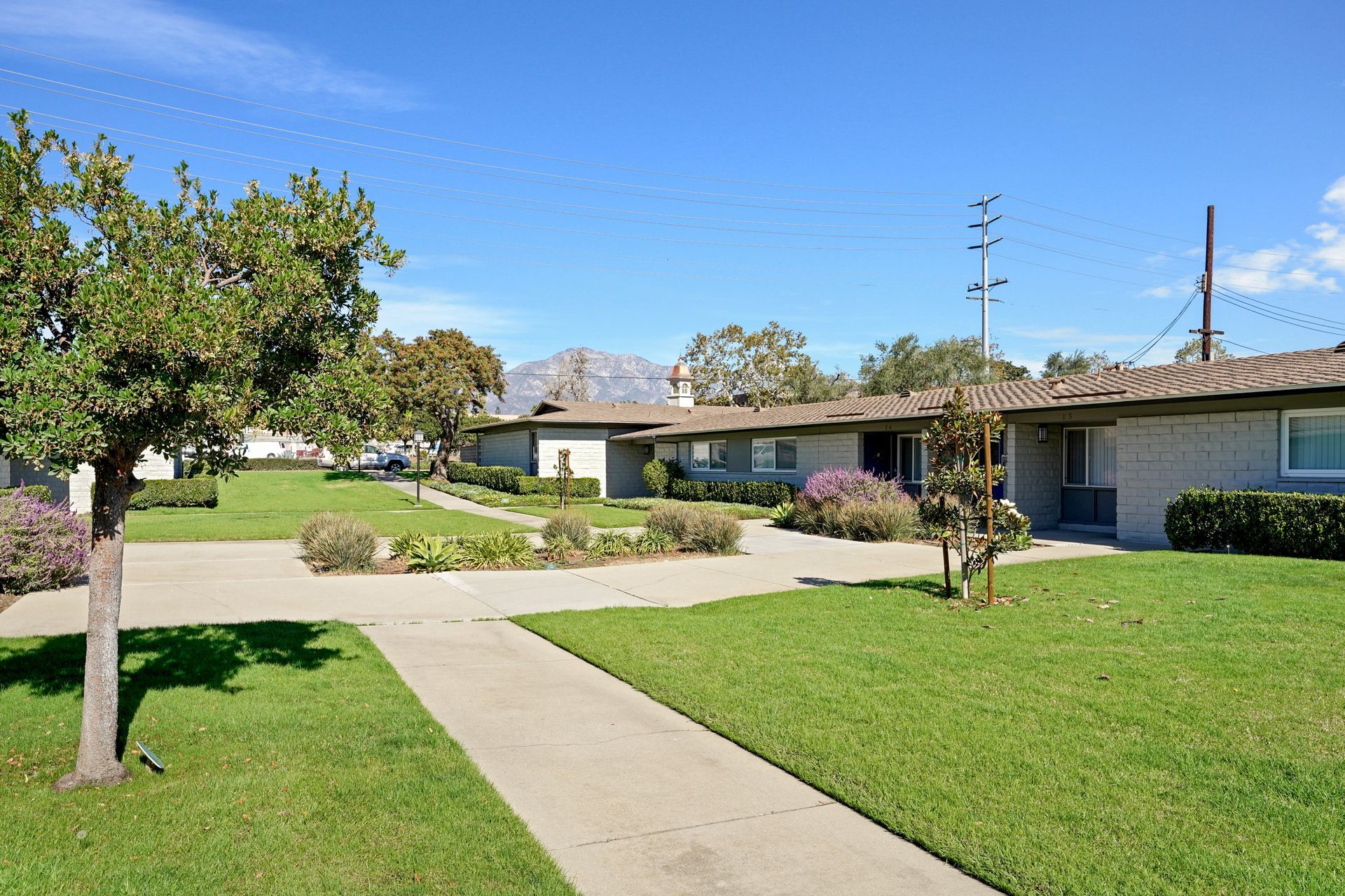 Photo gallery of the Pines Apartments Interior and Exterior Images