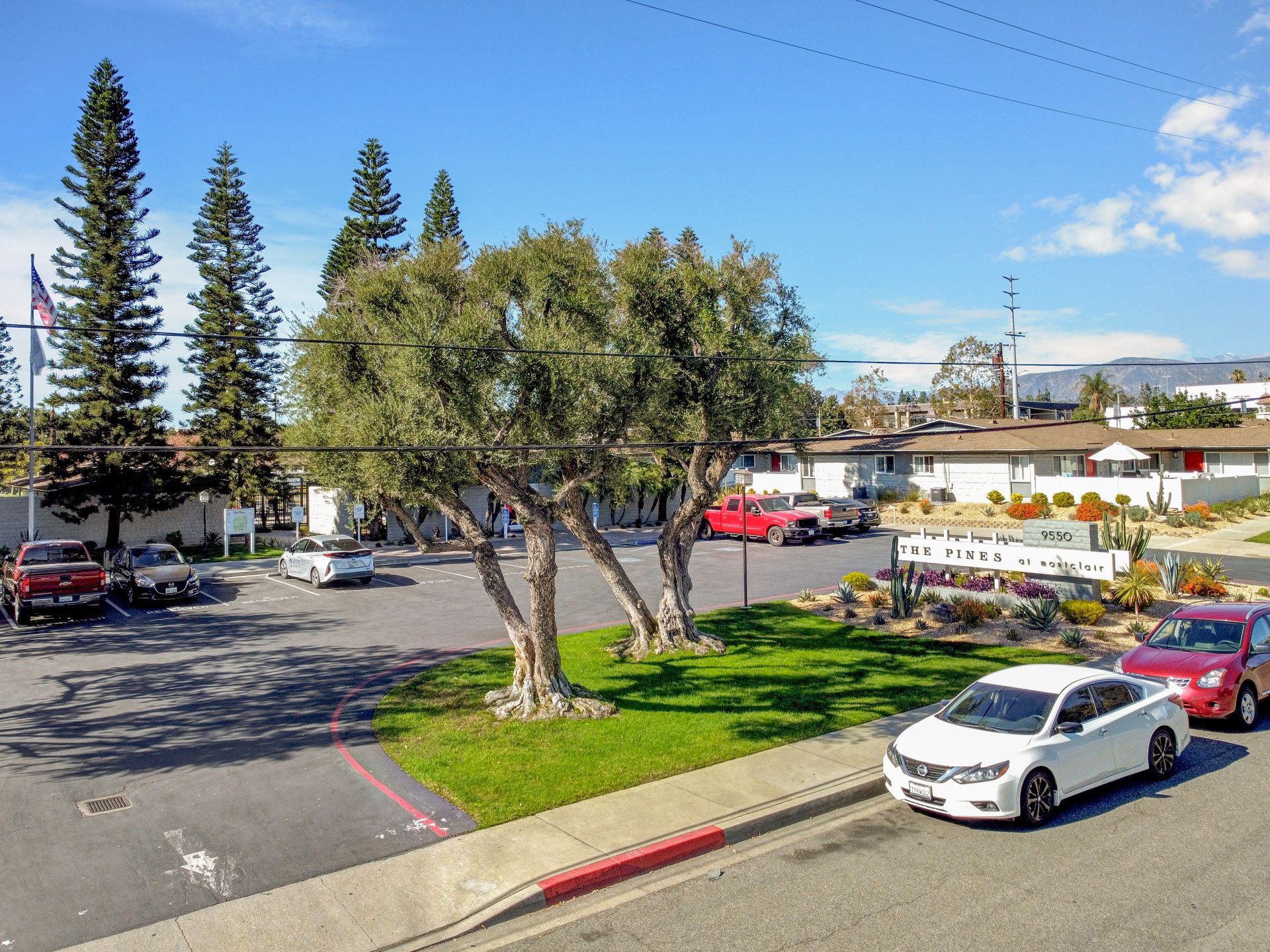 Photo gallery of the Pines Apartments Interior and Exterior Images