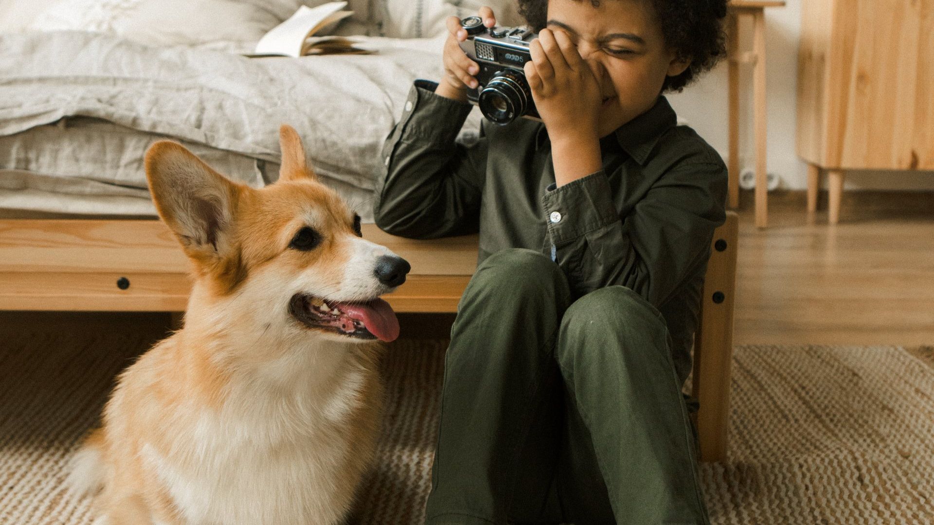 Woman taking photo of a dog inside the bedroom