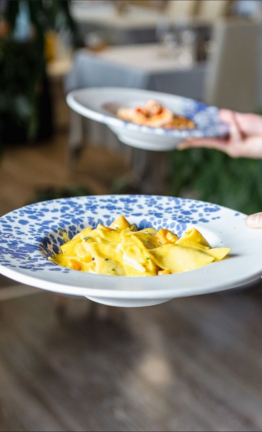 Una mano regge una ciotola bassa di pasta color giallo crema con un bordo floreale blu, mentre sullo sfondo si intravede un secondo piatto sfocato.