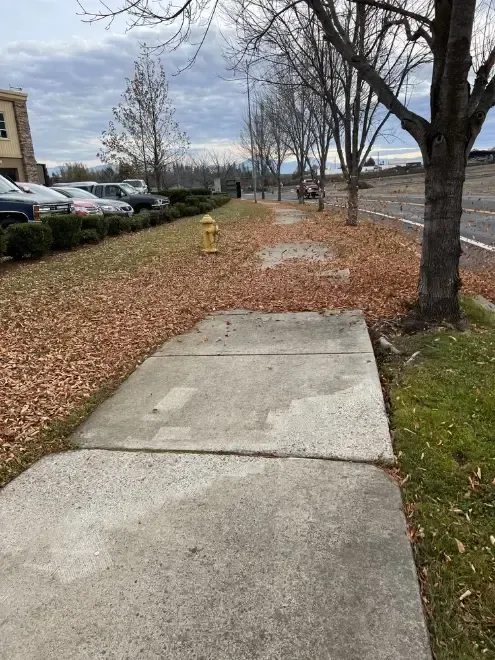Sidewalk with fallen leaves, a yellow fire hydrant, and parked cars under a cloudy sky.