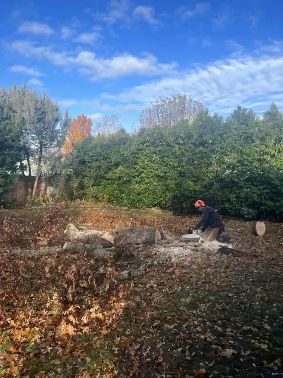 Person with chainsaw cutting logs in yard, surrounded by trees and leaves under a blue sky.