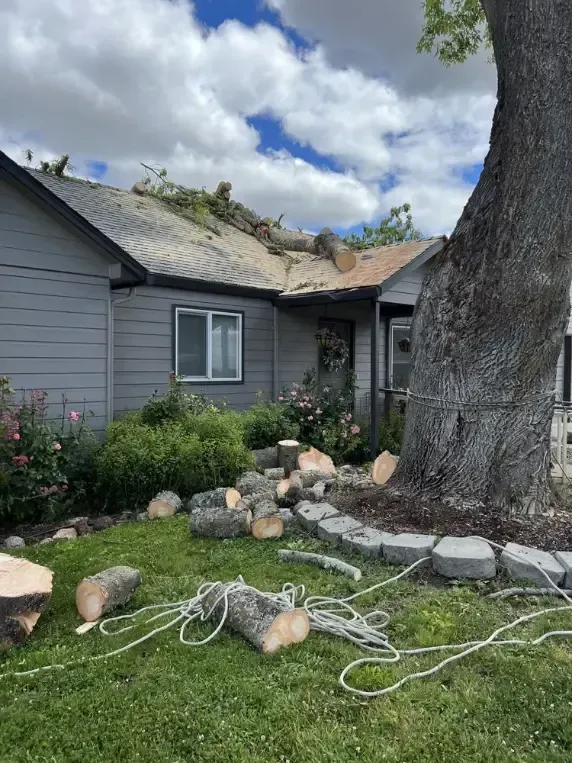 Tree branches on roof and ground of a gray house. Cut logs and rope on green lawn. Overcast sky.