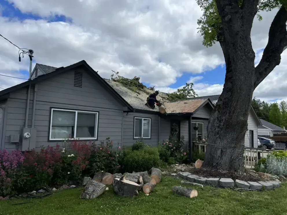 Person on a roof removing branches; gray house with a tree, cut logs in the yard, cloudy sky.