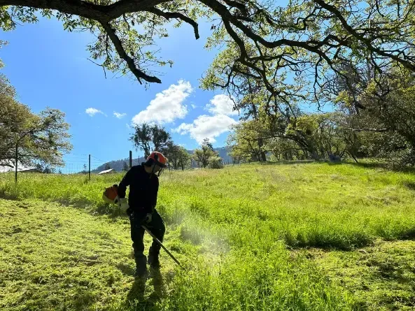 Person in safety gear using a weed whacker in a grassy field on a sunny day.