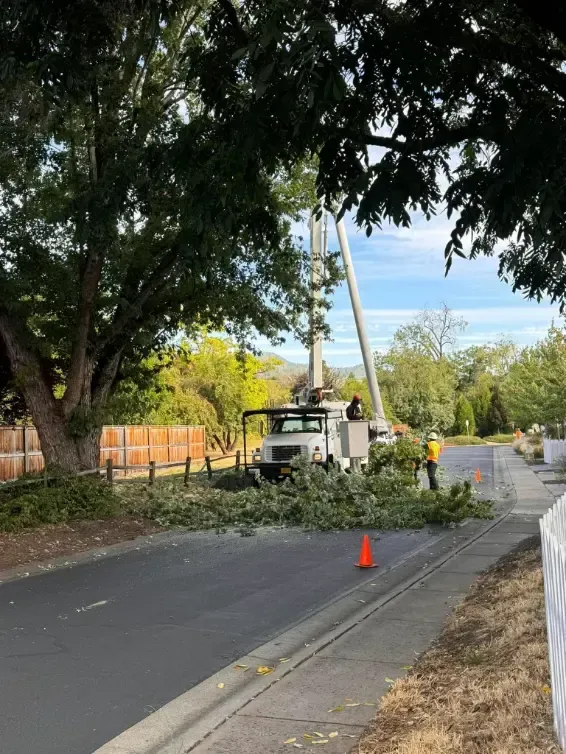 Tree trimming crew on a street, using a lift. Branches on road, orange cone, cloudy sky.