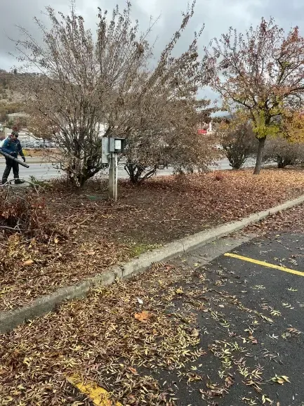 Person using a leaf blower to clear leaves from a landscaped area next to a parking lot.