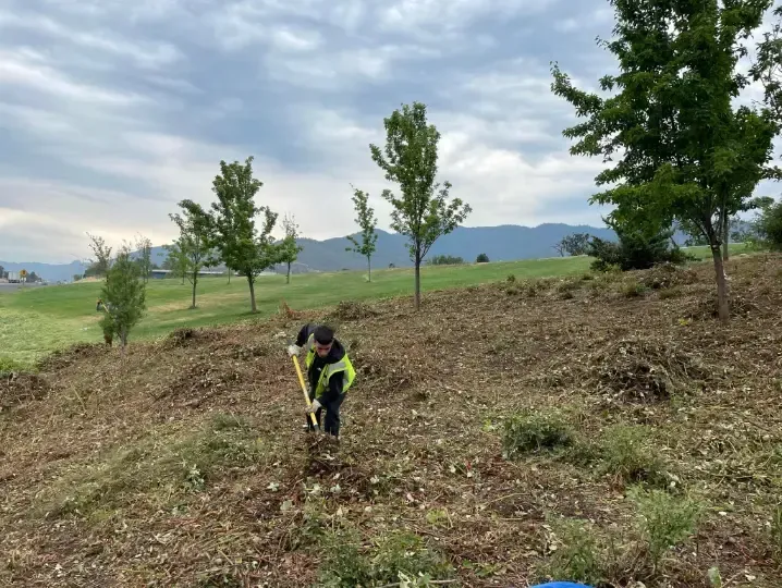Person wearing a safety vest shovels mulch on a hillside with young trees, cloudy sky and mountains in the distance.