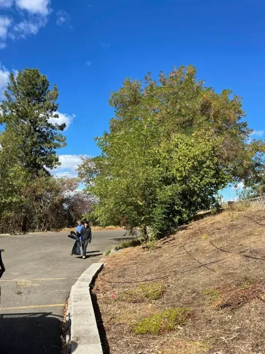 Two people walk in a parking lot, near a tree, under a blue sky with clouds.