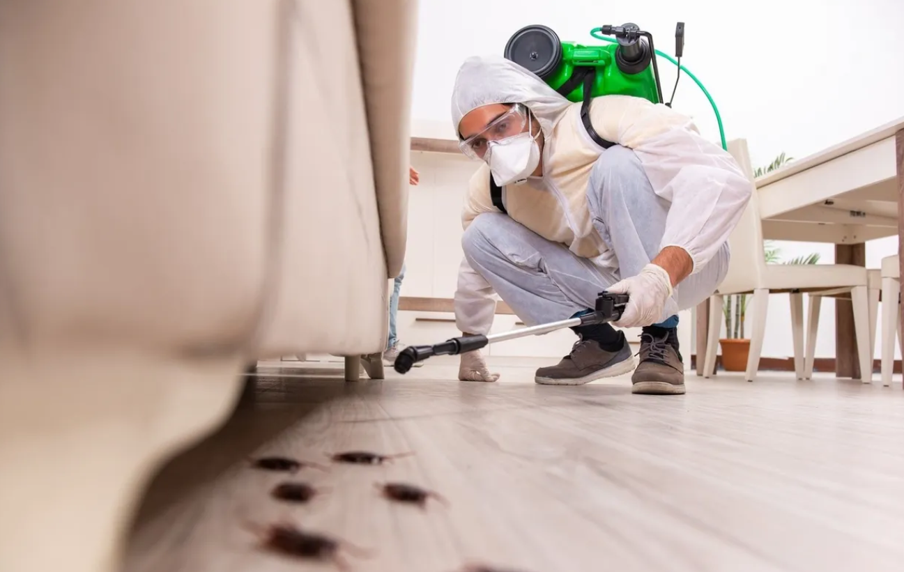 disinfezione e derattizzazione