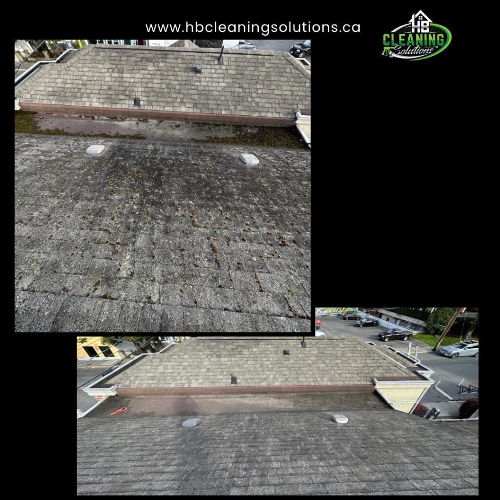 Before and after roof stain removal