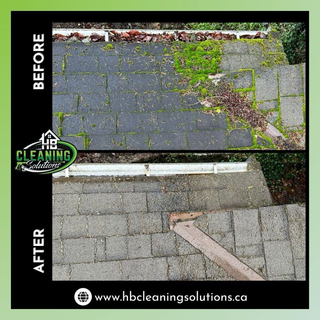 Before and after roof moss removal service
