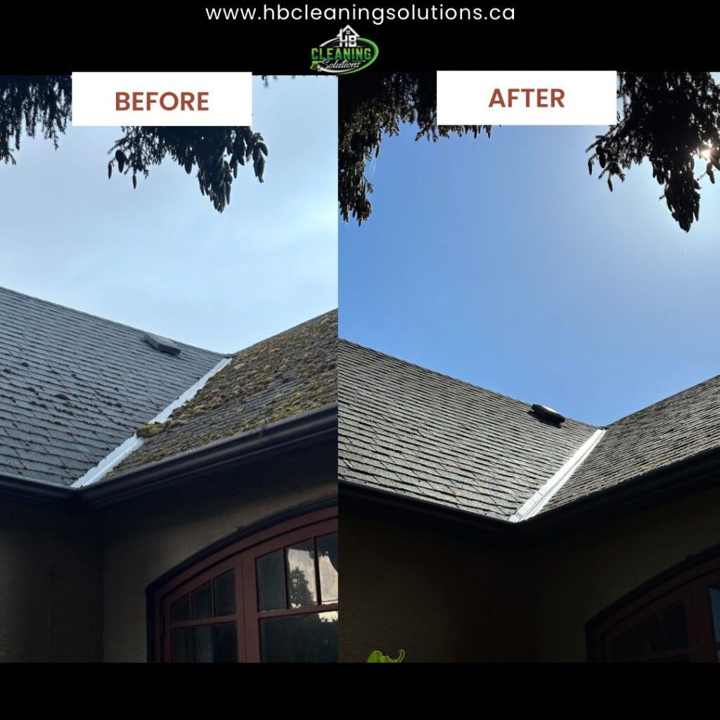 Moss removal for home in Fernwood, Victoria, BC