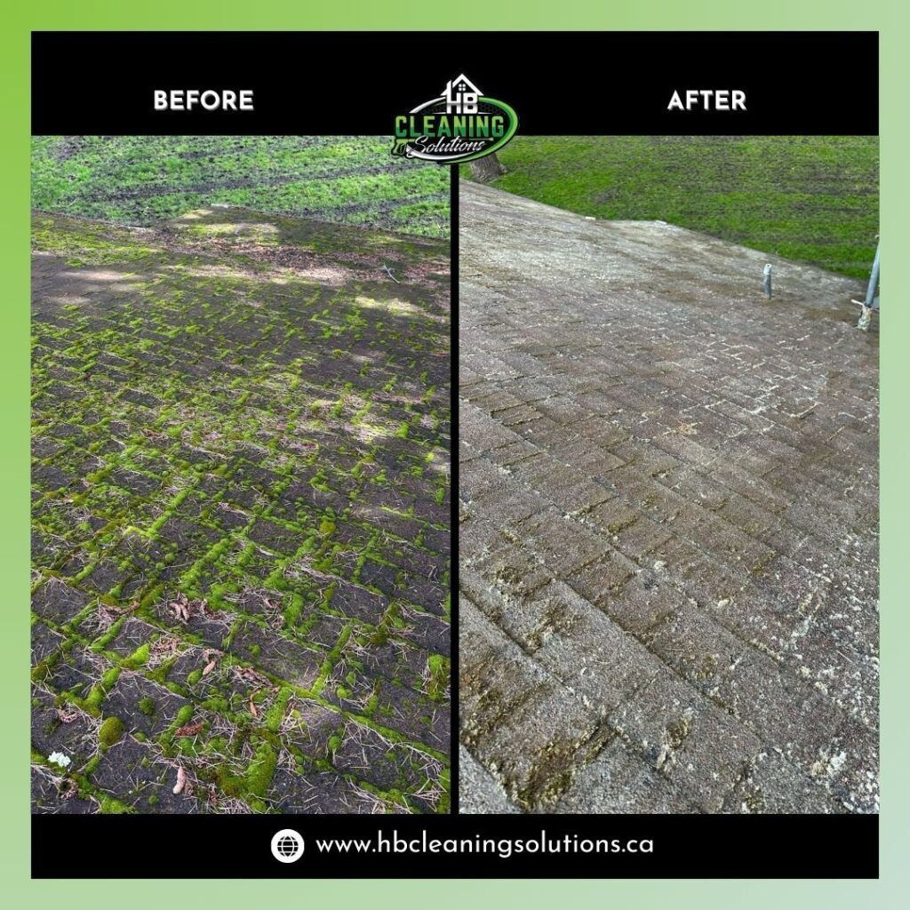Roof moss removal with moss prevention treatment