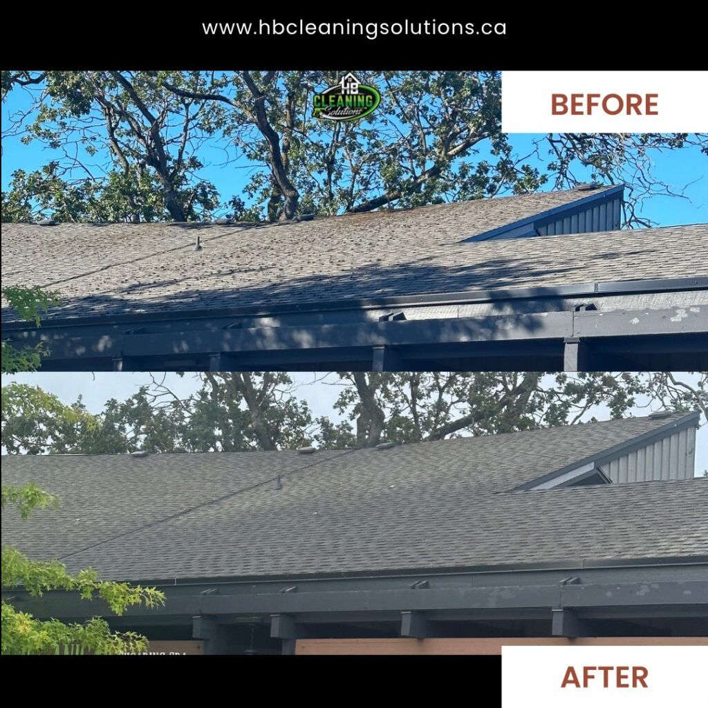 Before and after roof moss removal service