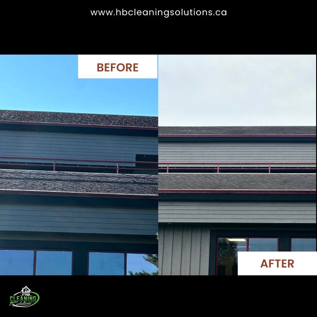Before and after roof cleaning