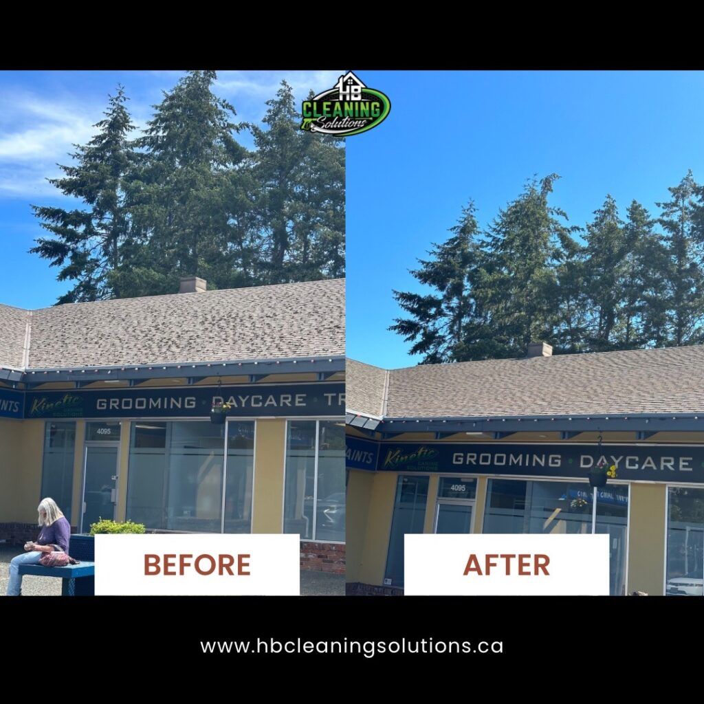 Before and after commercial roof cleaning in Gordon Head, Victoria, BC