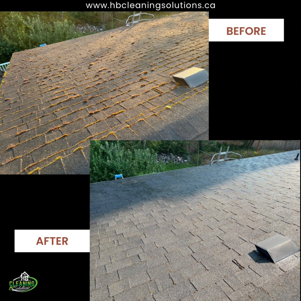 Before and after roof moss removal service