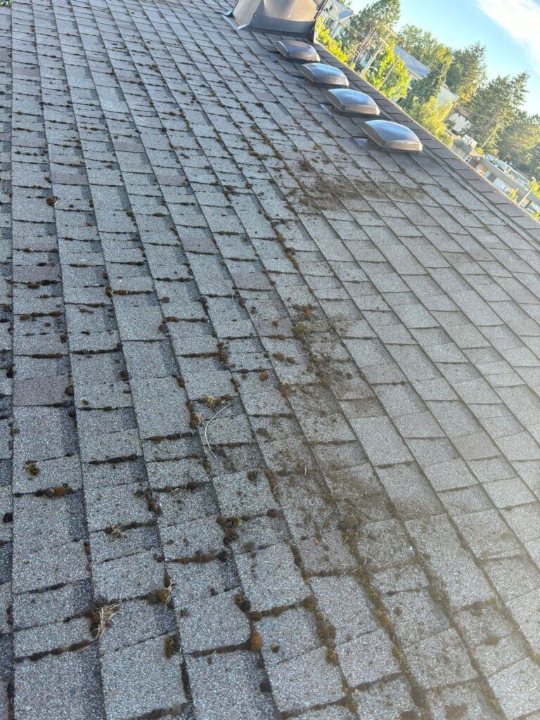 Roof with moss partly cleaned