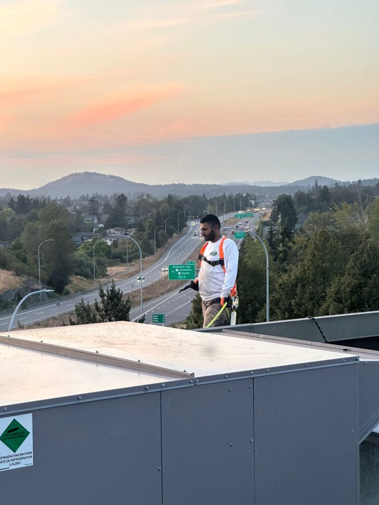 Professional roof cleaner on a roof in front of highway