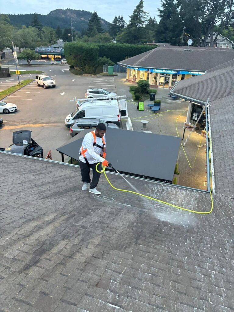 Professional roof cleaner is soft washing commercial roof shingles