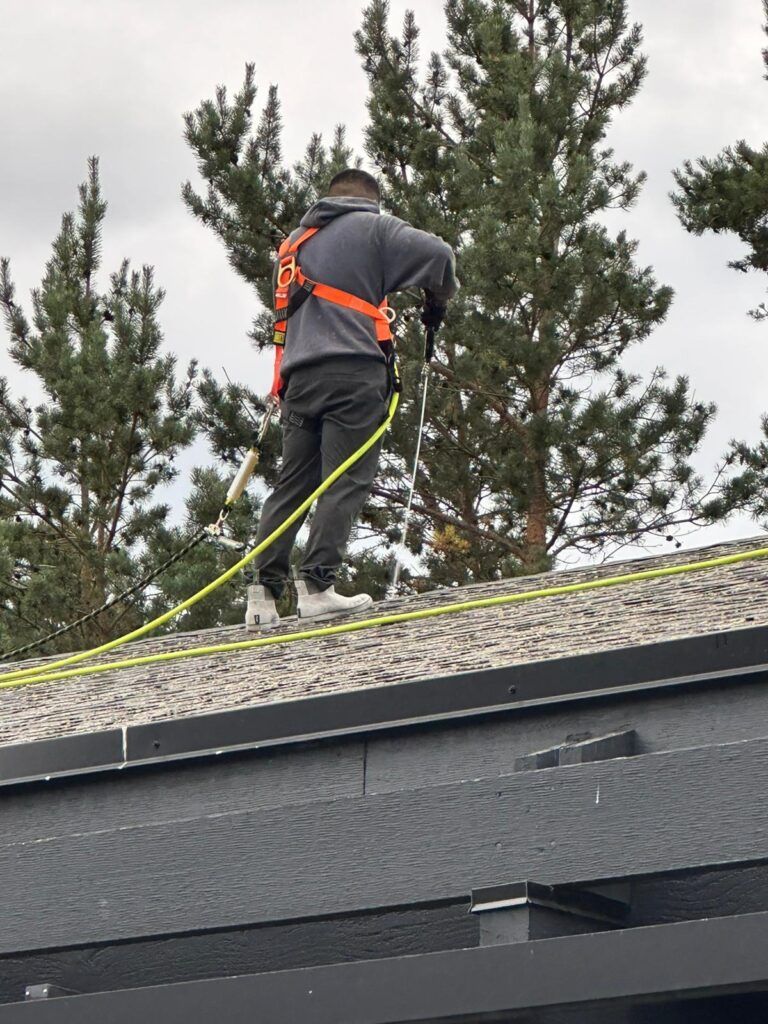 Professional roof cleaner cleaning moss off roof shingles